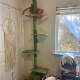 Meow Sir Cat Tree