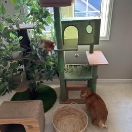Meow Sir Large Cat Tree
